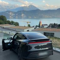 Tesla noire au bord du lac